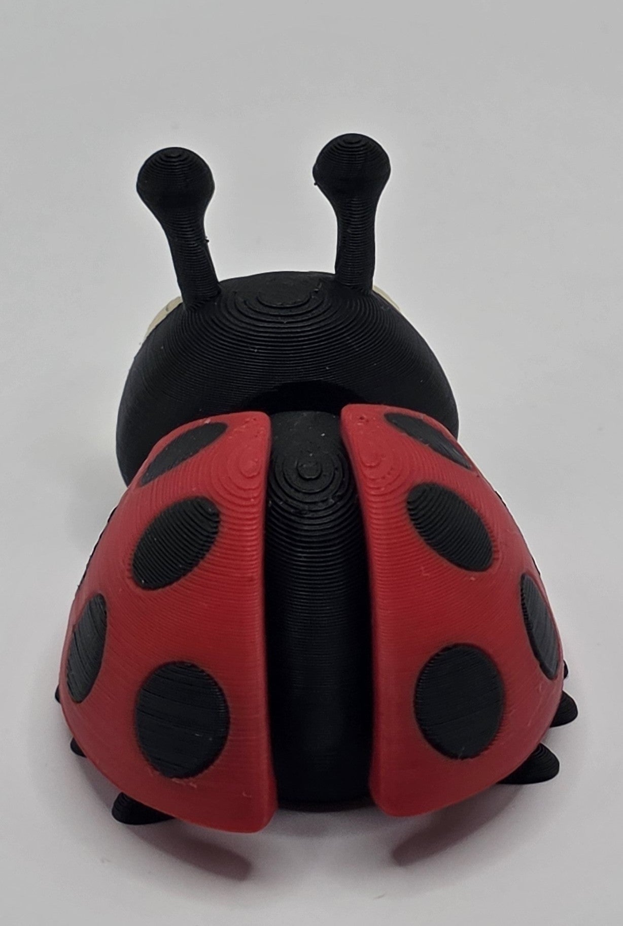 Cute Articulated Ladybug | 3D Printed Flexi Bug | Poseable Desk Toy | Adorable Gift | Cute Bug Decor - SkeletonEarth Designs