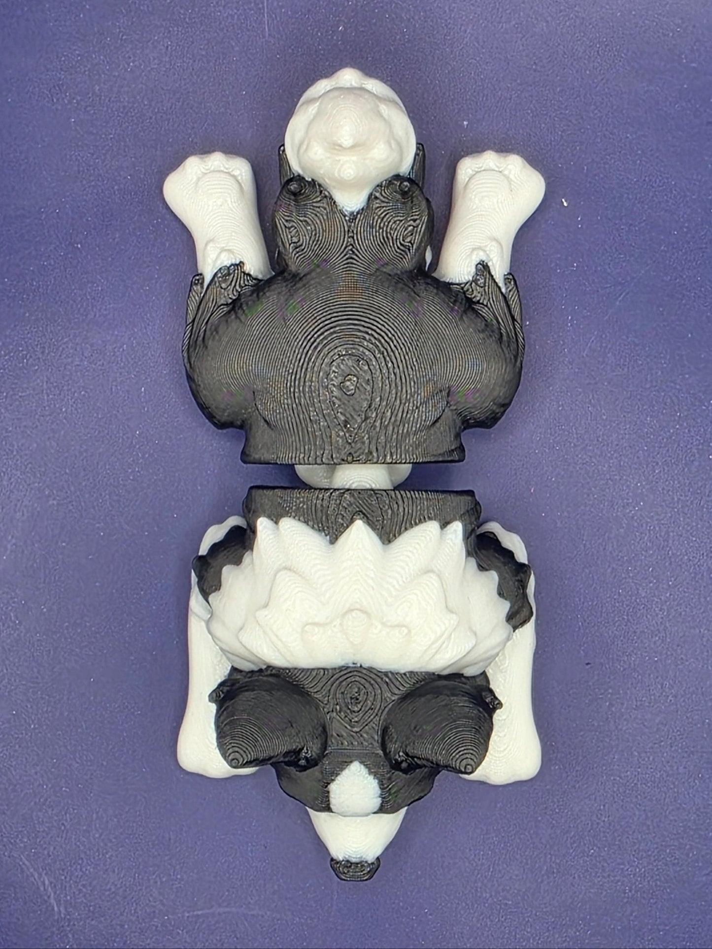 Mini Flexi Border Collie Puppy | Print - in - Place Articulated 3D Print - SkeletonEarth Designs