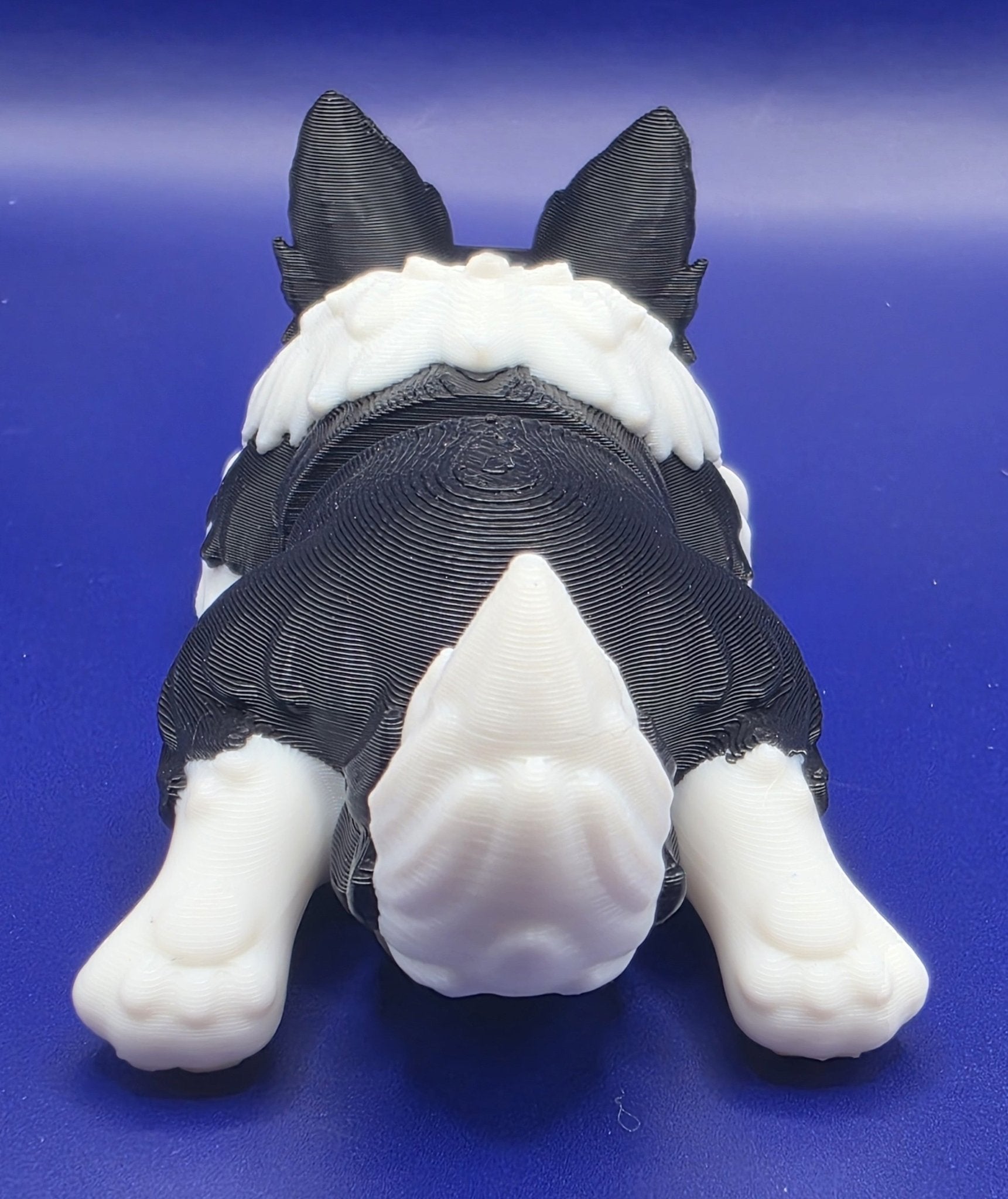 Mini Flexi Border Collie Puppy | Print - in - Place Articulated 3D Print - SkeletonEarth Designs