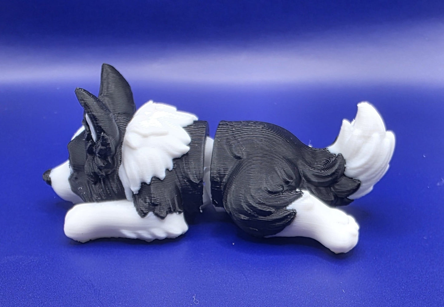 Mini Flexi Border Collie Puppy | Print - in - Place Articulated 3D Print - SkeletonEarth Designs