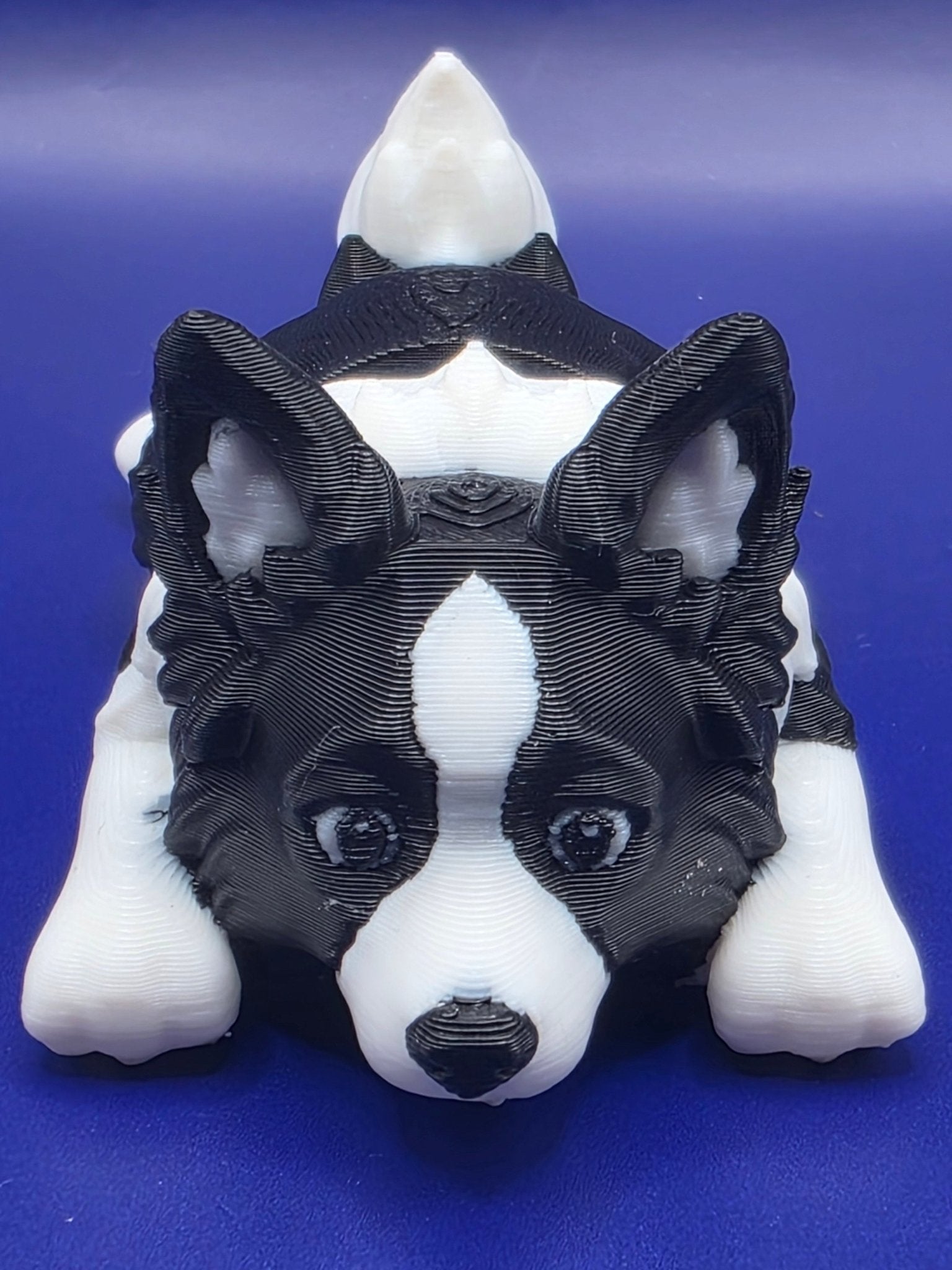 Mini Flexi Border Collie Puppy | Print - in - Place Articulated 3D Print - SkeletonEarth Designs